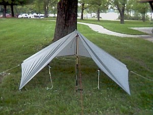 tarp_1