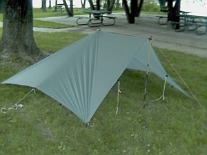 tarp_2