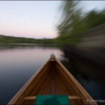Permalink to Sea Gull Lake Loop Trip Report Canoe on Ogishkemuncie Lake in the BWCA