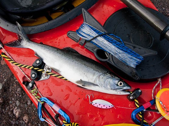 Kayak Fishing