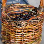 Permalink to Bushcraft: Making a Willow Basket hansel_bryan_101109-25
