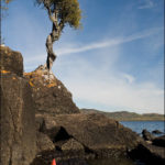 Kayak and the Grand Portage Witch Tree