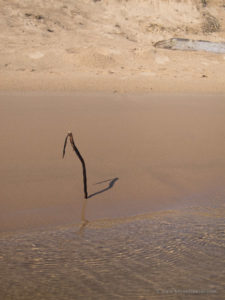 lake superior seiche